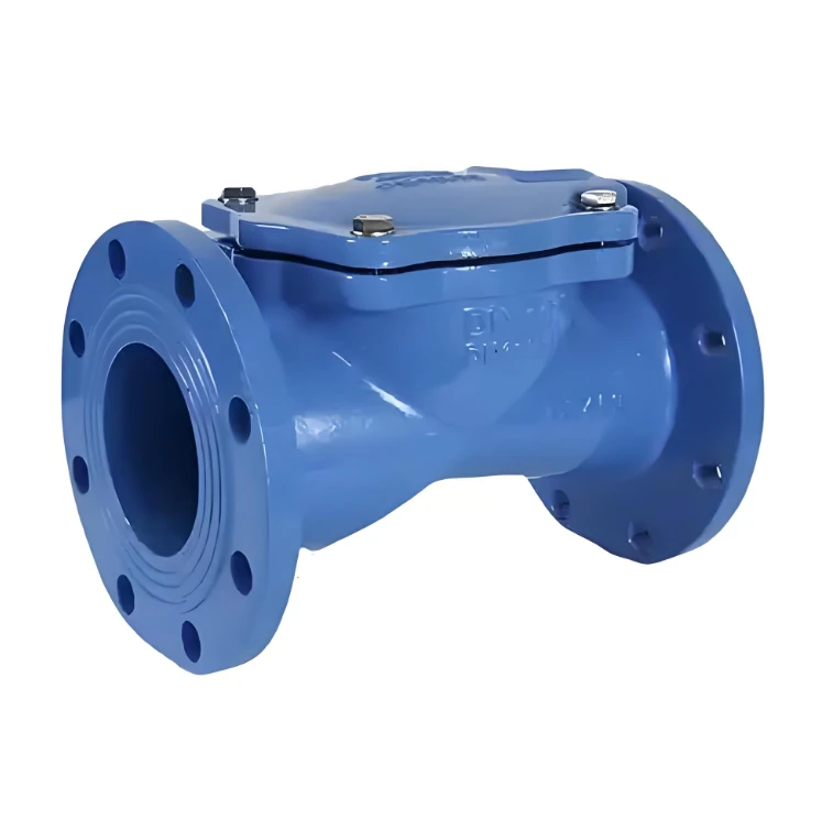Non Return Valve